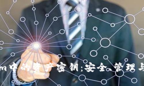 深入理解Tokenim中的资产密钥：安全、管理与应用全方位解析