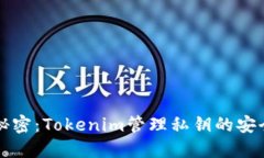 守护数字资产的秘密：T