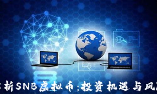 
完全解析SNB虚拟币：投资机遇与风险详解