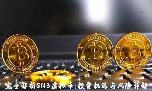 
完全解析SNB虚拟币：投资机遇与风险详解