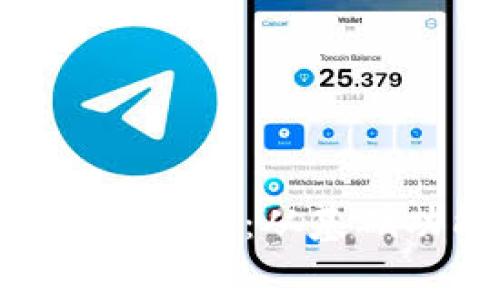 baioti全面解析虚拟币钱包制作费用：从基础功能到高级安全性的成本分析