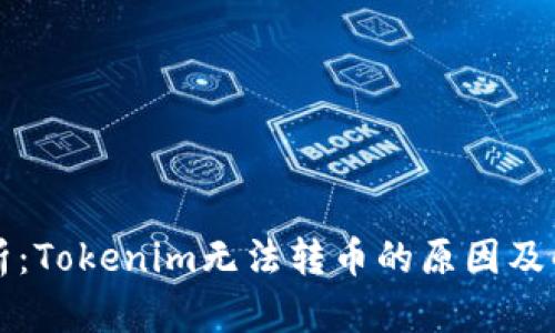 深入解析：Tokenim无法转币的原因及解决方案