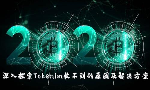 深入探索Tokenim收不到的原因及解决方案