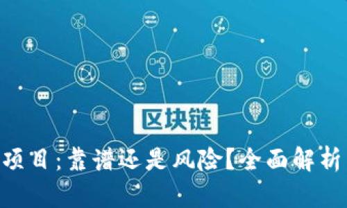 Tokenim开发的项目：靠谱还是风险？全面解析与市场前景评估