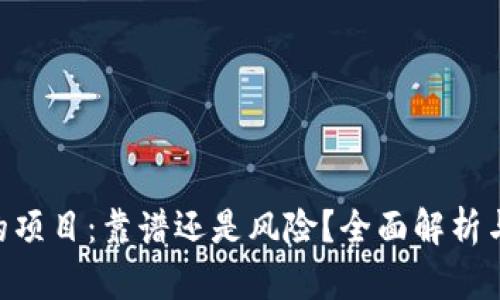 Tokenim开发的项目：靠谱还是风险？全面解析与市场前景评估