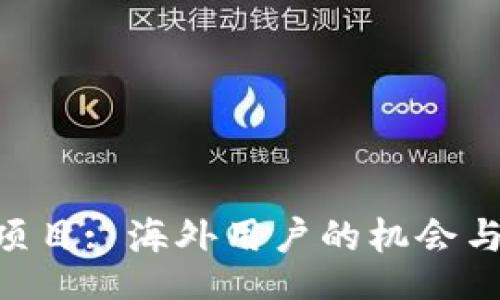 isArticle
Tokenim项目: 海外用户的机会与挑战详解