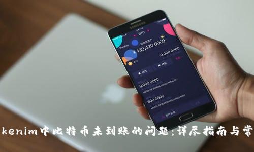 如何解决Tokenim中比特币未到账的问题：详尽指南与常见解决方案