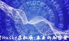 深入探讨Husky虚拟币：未来