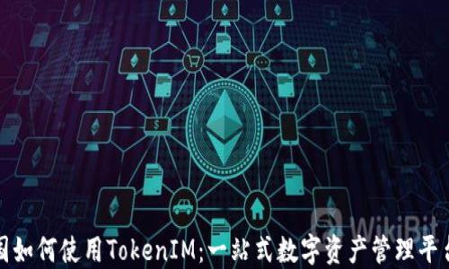 
在中国如何使用TokenIM：一站式数字资产管理平台指南