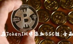 如何在TokenIM中添加BSC链：