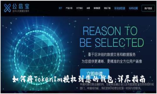 如何将TokenIm授权到您的钱包：详尽指南