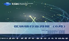 详解WRX虚拟币：发展历程、投资潜力及市场趋势