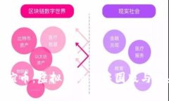 探索友谊币：虚拟货币的中国版与未来展望
