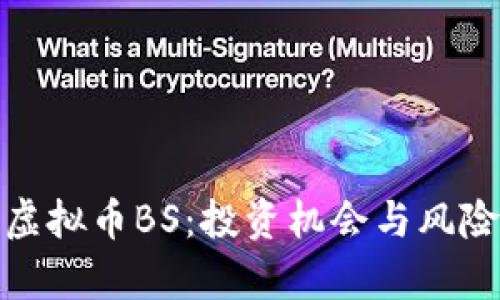 全面解析虚拟币BS：投资机会与风险深度揭秘
