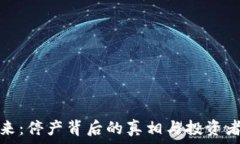   虚拟币的未来：停产背后的真相与投资者的应对