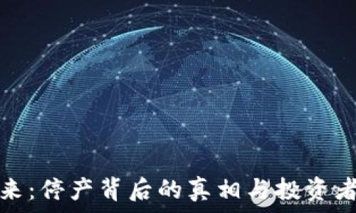   
虚拟币的未来：停产背后的真相与投资者的应对策略