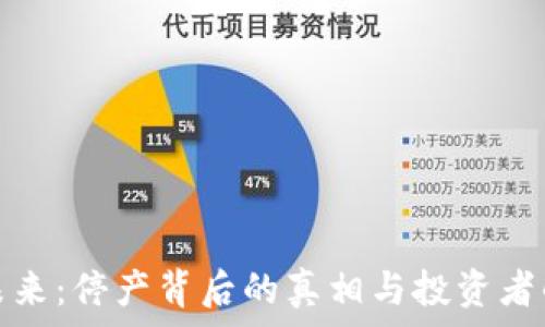   
虚拟币的未来：停产背后的真相与投资者的应对策略