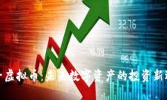 双子虚拟币：未来数字资