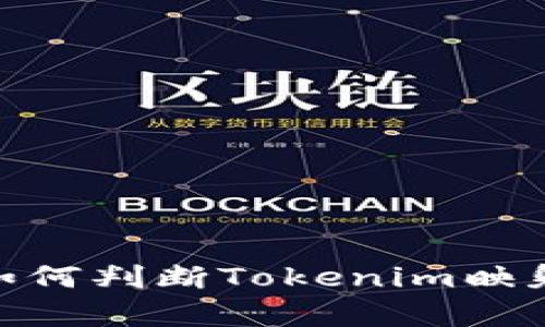 全面解析：如何判断Tokenim映射是否成功？