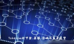 Tokenim被下架：原因、影响