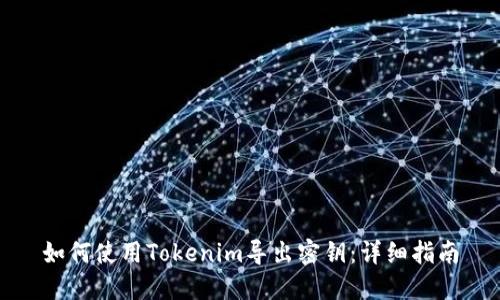 如何使用Tokenim导出密钥：详细指南