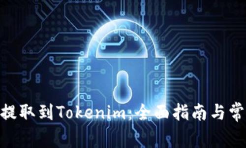 如何将BCH提取到Tokenim：全面指南与常见问题解答